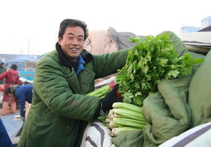 我國食用農產品價格呈現小幅上漲態勢