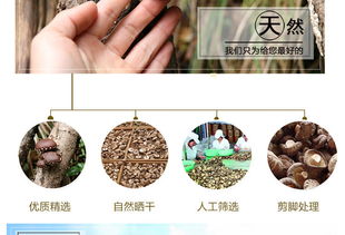 富農園特級冬菇 福建山珍的優質之選