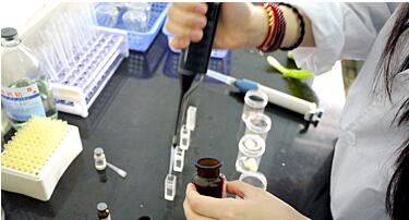 青海省統一食用農產品市場快速檢測標準 守護批發環節安全