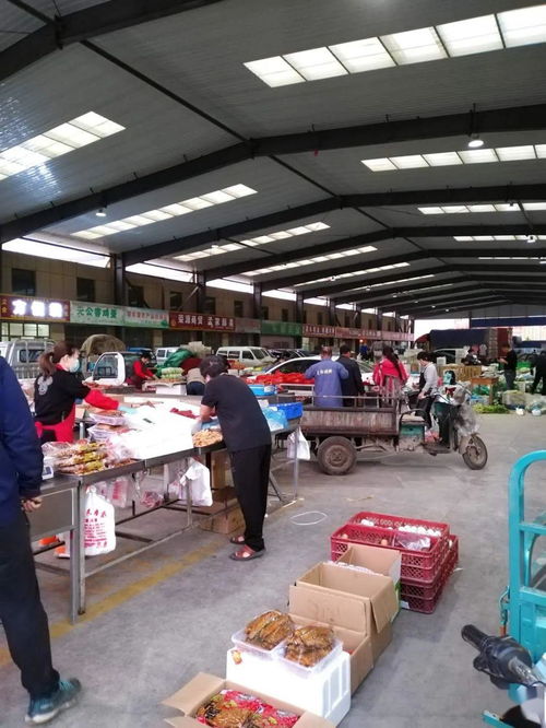 中貿(mào)農(nóng)產(chǎn)品綜合批發(fā)市場(chǎng) 從基地到市場(chǎng)，蔬菜區(qū)一站式采購(gòu)與每日參考價(jià)解析